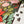 A close-up of a completed jigsaw puzzle showing a colorful floral and botanical design, with a few loose puzzle pieces on a white surface next to a pinecone and evergreen sprig.