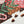 A close-up of a completed jigsaw puzzle showing a holiday floral design with red roses, green holly leaves, candy canes, and snowflakes on a dark brown background. Several loose puzzle pieces are scattered on a white surface.