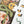 A partially assembled jigsaw puzzle featuring a Day of the Dead theme with a green snake, orange flowers, and a yellow skull on a dark background, shown on a white surface with a few loose pieces beside it.