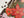 A close-up of a completed jigsaw puzzle showing a festive holiday design with large red poinsettias, green pine branches, pink bows, and dark brown background pieces, with a few loose puzzle pieces on a white surface.