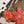 A close-up of a completed jigsaw puzzle showing a festive holiday design with large red poinsettias, green pine branches, pink bows, and dark brown background pieces, with a few loose puzzle pieces on a white surface.