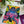Mushi Mushi | 500-Piece Unified Pieces Jigsaw Puzzle