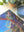 Close up of corner of the completed Golden Domes puzzle showing vibrant archway and flying pigeons. Next to plant and top of tube packaging.