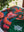 Red Dragon | 1,000-Piece Unified Pieces Jigsaw Puzzle