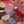 Close up of puzzle details showing colorful abstract artwork of logs created with circular patterns and vibrant colors