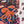 Jigsaw puzzle with an underwater scene featuring an octopus, partially completed on a light gray background.